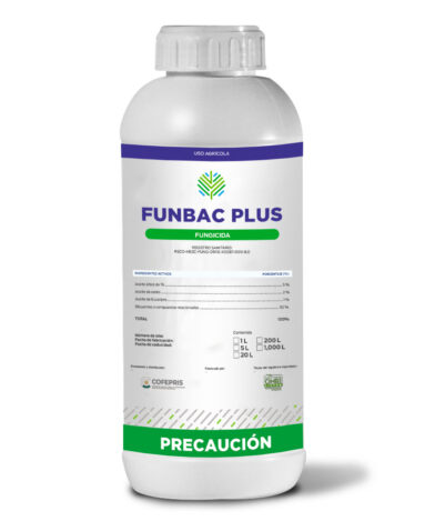 BOTELLA funbac plus