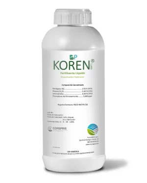 BP-KOREN