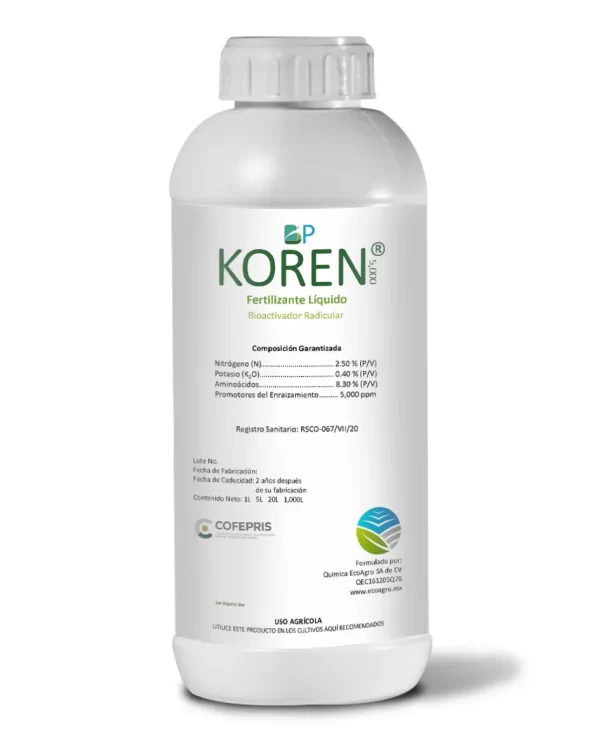 BP-KOREN