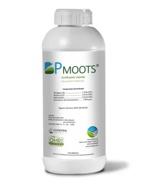 BP-MOOTS