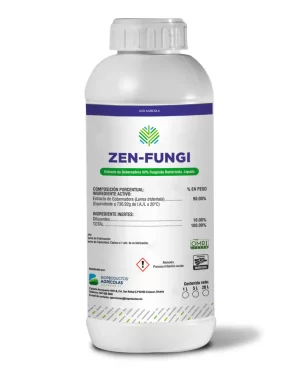 ZEN FUNGI