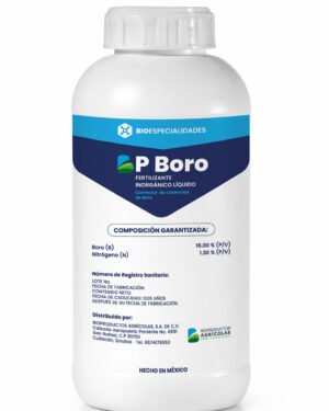BP-BORO