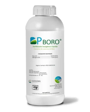 BP-BORO