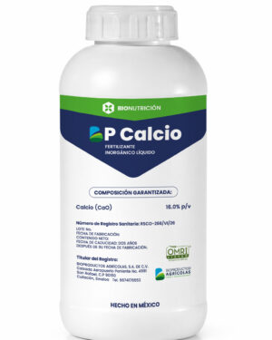 BP-CALCIO