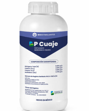 BP-CUAJE