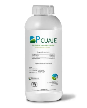 BP-CUAJE