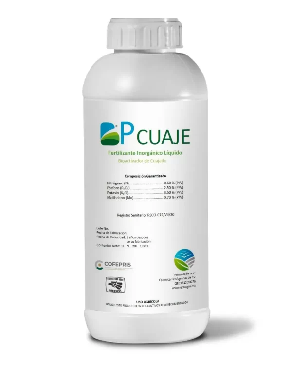 BP-CUAJE