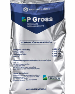 BP-GROSS