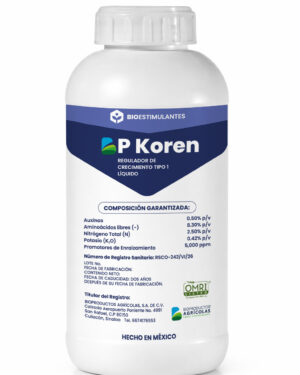 BP-KOREN