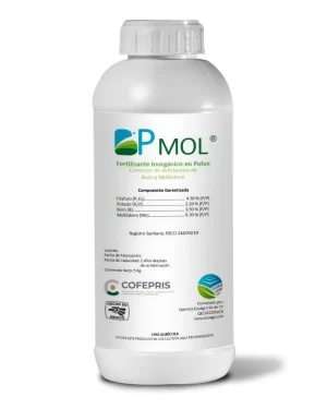 BP-MOL