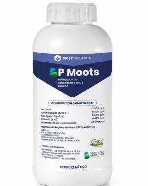 BP-MOOTS