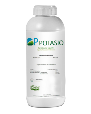 BP-POTASIO