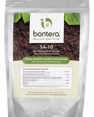 BONTERA