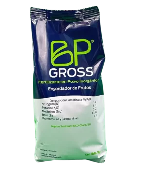 BP-GROSS