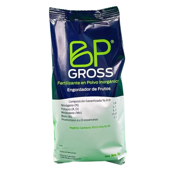 BP-GROSS