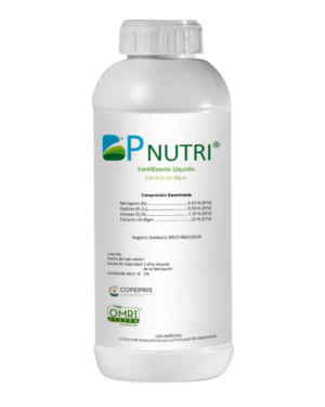 BP-NUTRI