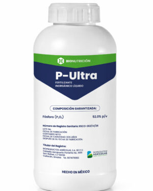 P-ULTRA