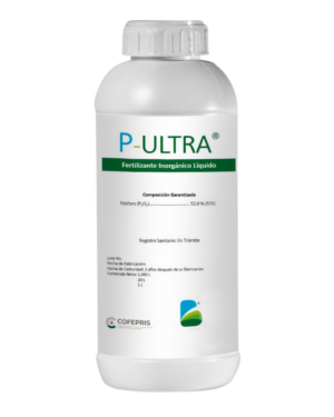 P-ULTRA