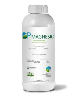 BP-MAGNESIO