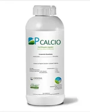 BP-CALCIO