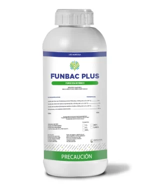 FUNBAC-PLUS
