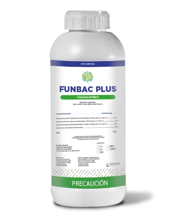 FUNBAC-PLUS