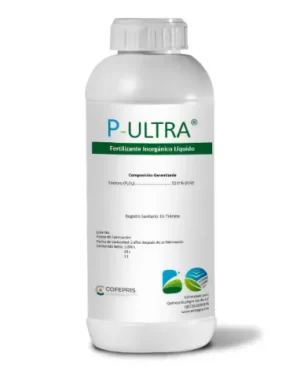 P-ULTRA